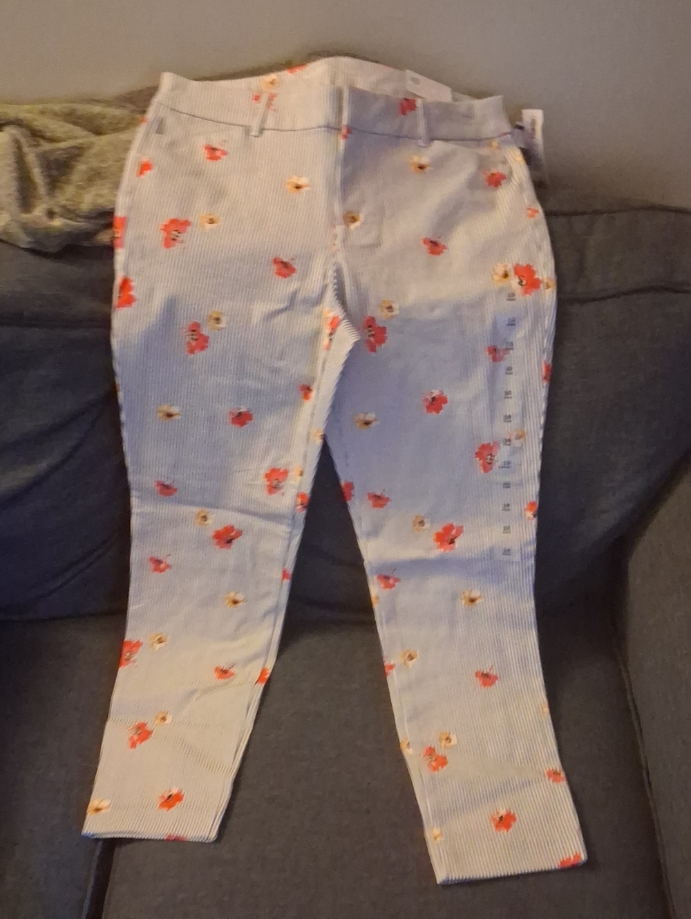 Old Navy Blue & White Striped Ankle Pants with Red Floral Print